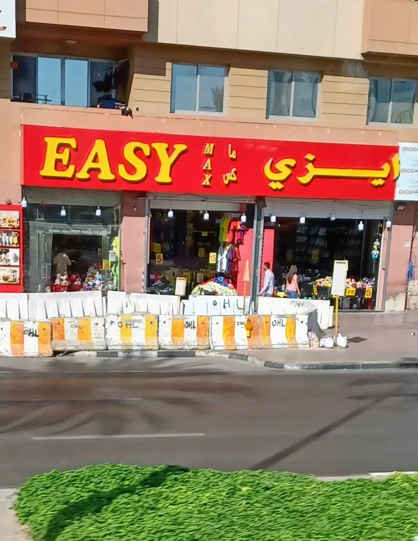 EASY MAX MINI MART L.L.C